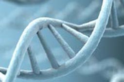 怎么去攻击一个网站与防护